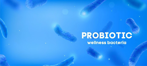 What Is Probiotic? What Are Its Benefits And Applications?